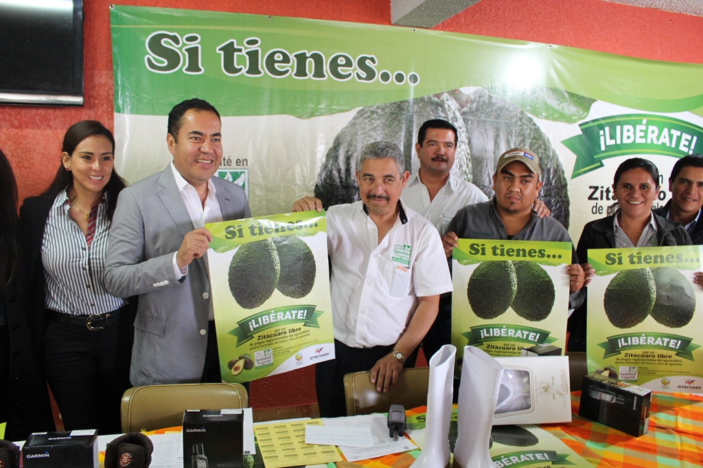 Impulsaremos a los productores de aguacate hasta que estén certificados: Carlos Herrera